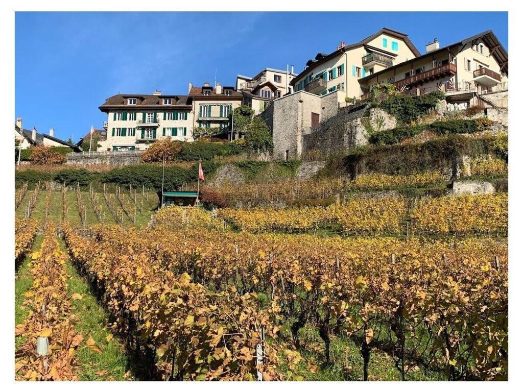 La Vigneronne, Uitzicht Op Het Meer أرليشايم المظهر الخارجي الصورة